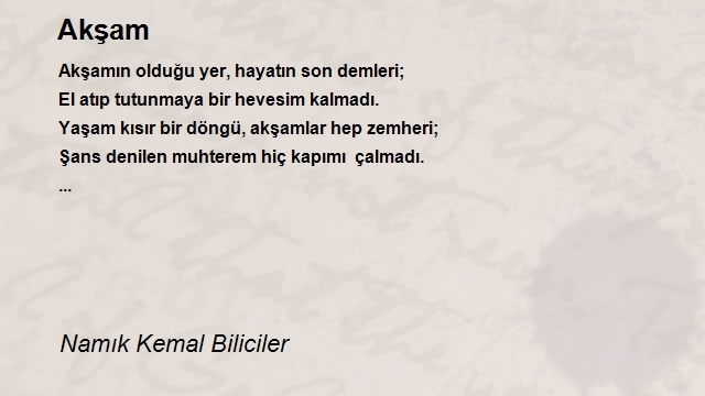 Namık Kemal Biliciler