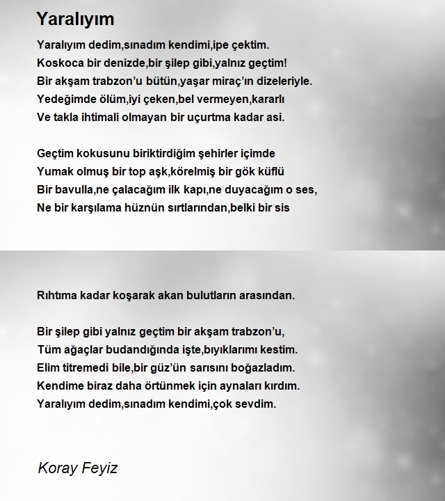 Koray Feyiz