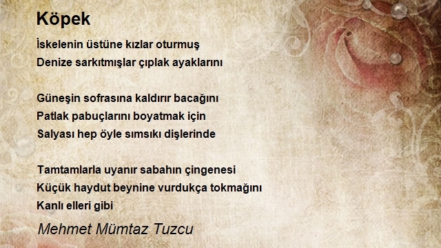 Mehmet Mümtaz Tuzcu