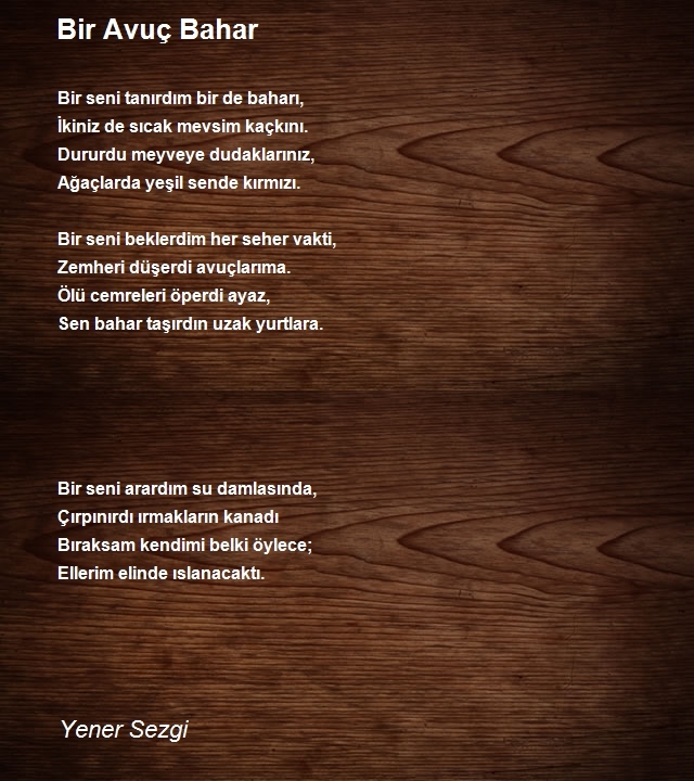 Yener Sezgi