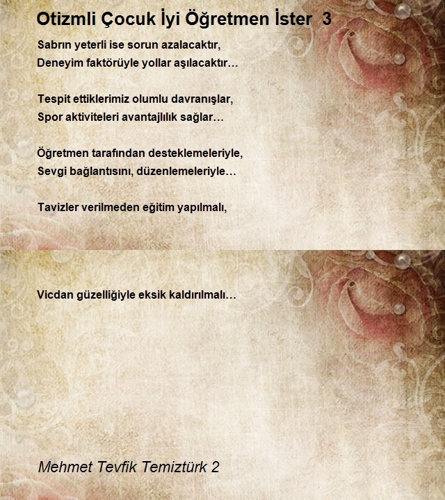 Mehmet Tevfik Temiztürk 2