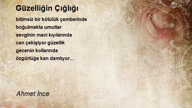 Ahmet İnce