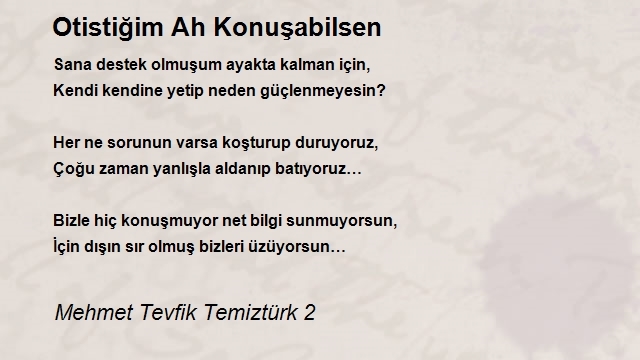 Mehmet Tevfik Temiztürk 2