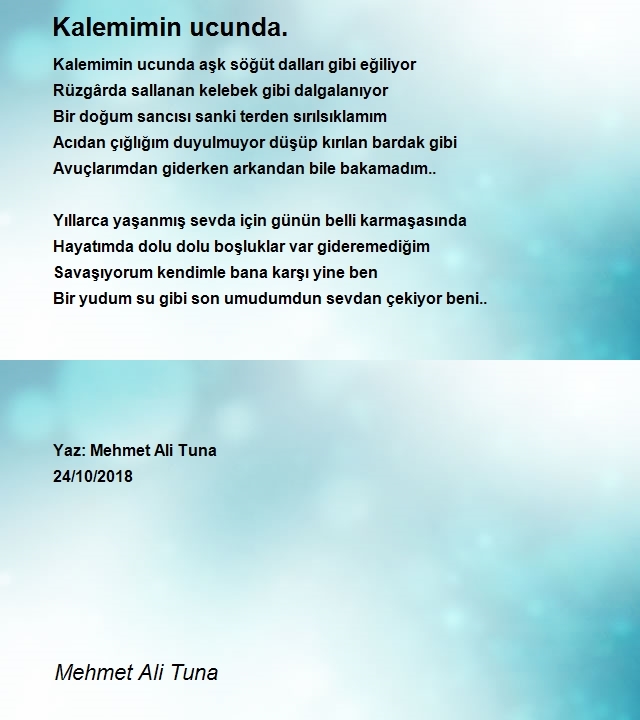 Mehmet Ali Tuna