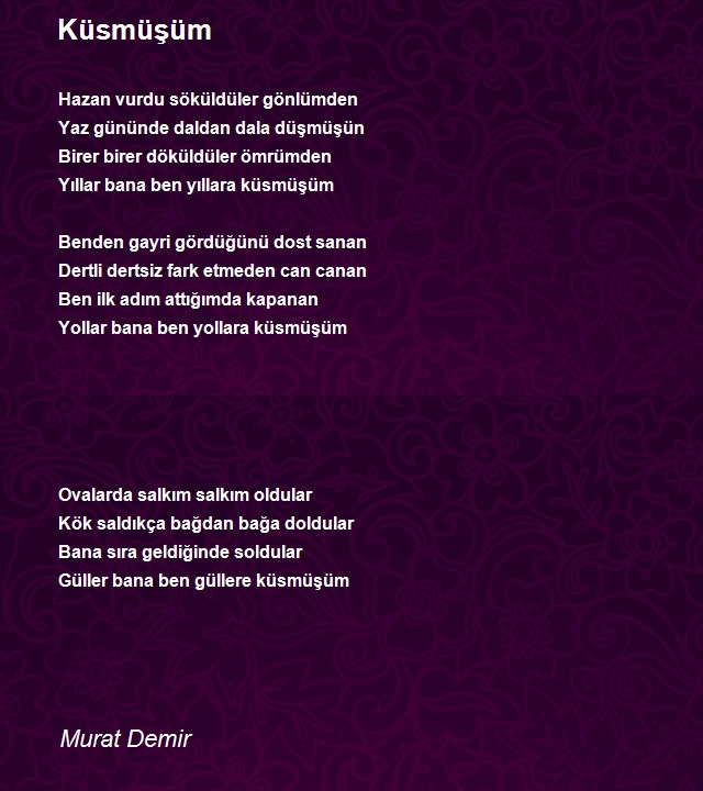 Murat Demir