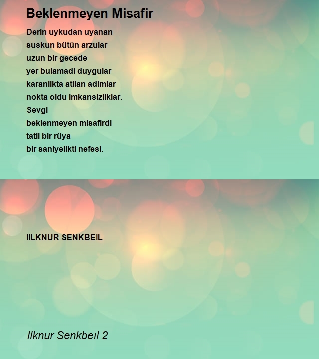 Ilknur Senkbeıl 2