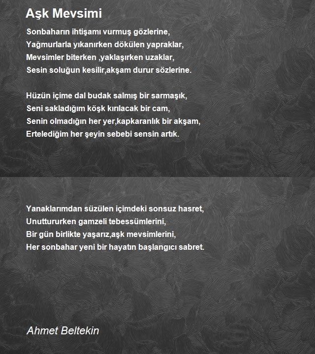 Ahmet Beltekin