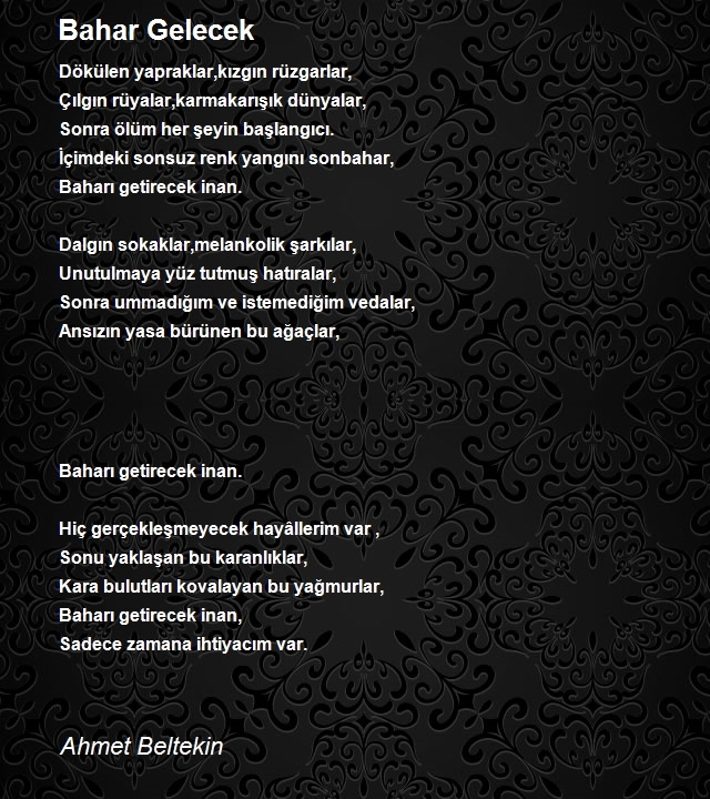 Ahmet Beltekin