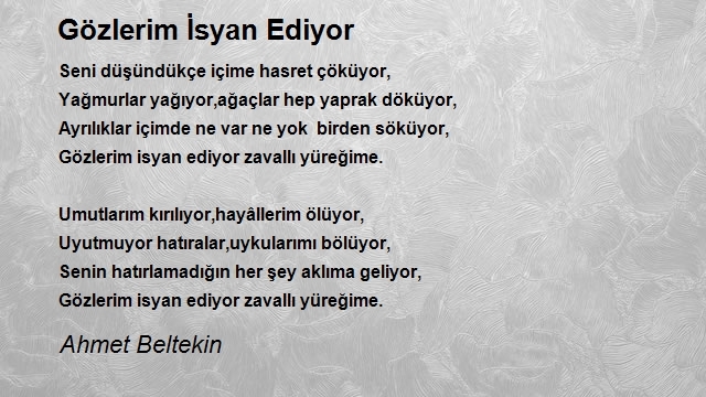 Ahmet Beltekin