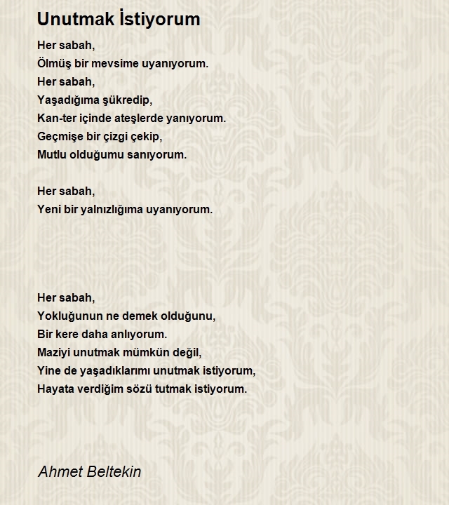 Ahmet Beltekin