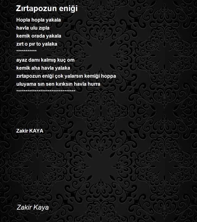 Zakir Kaya