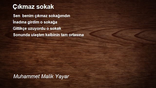 Muhammet Malik Yayar