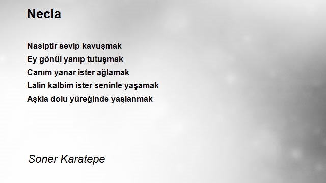 Soner Karatepe