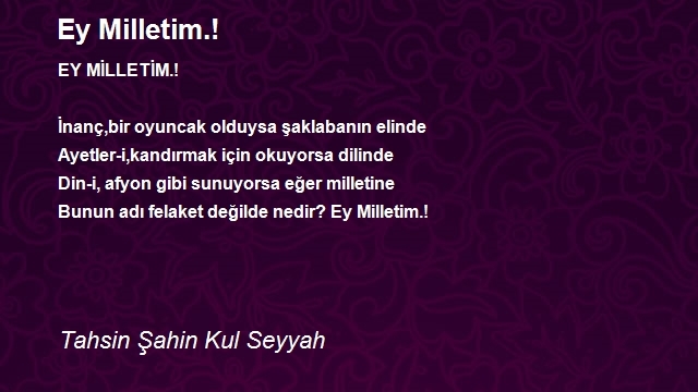 Tahsin Şahin Kul Seyyah