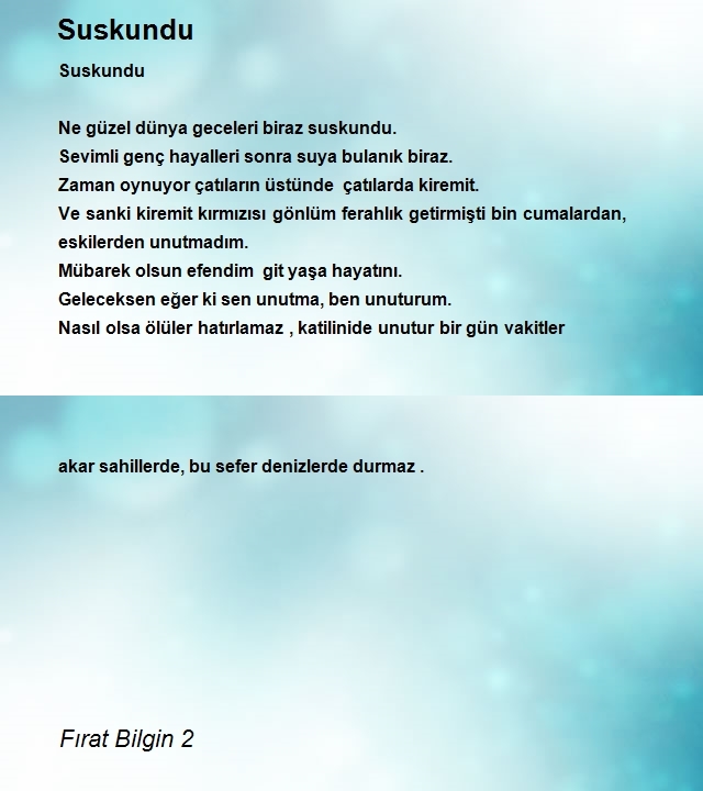 Fırat Bilgin 2