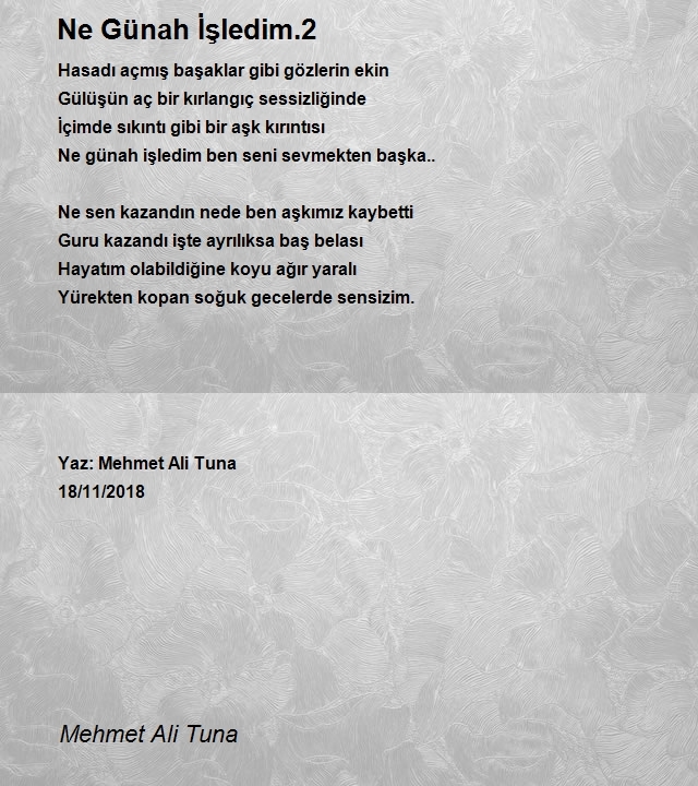 Mehmet Ali Tuna