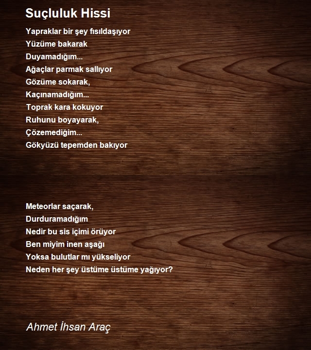 Ahmet Ihsan Arac