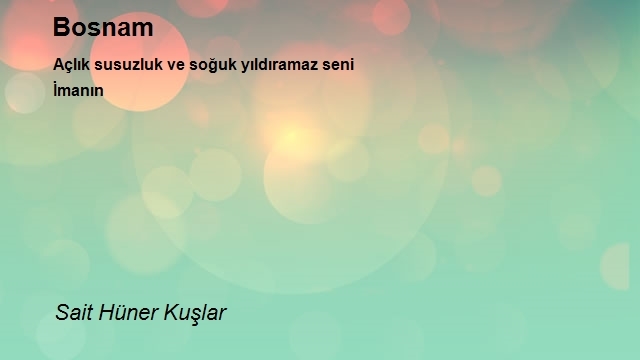 Sait Hüner Kuşlar