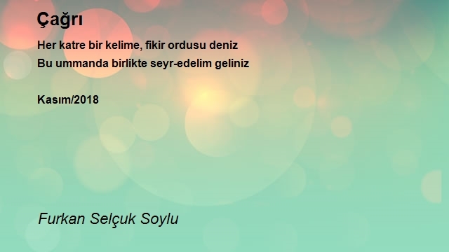 Furkan Selçuk Soylu