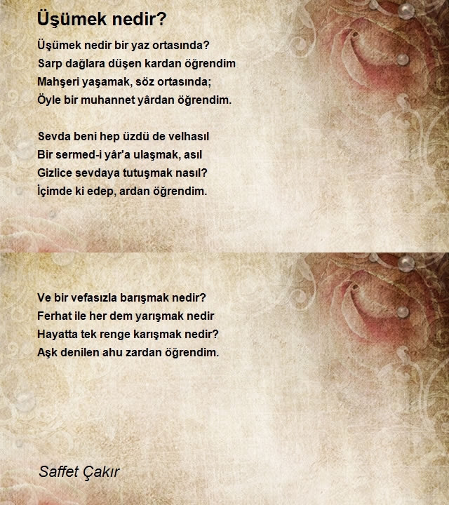 Saffet Çakır