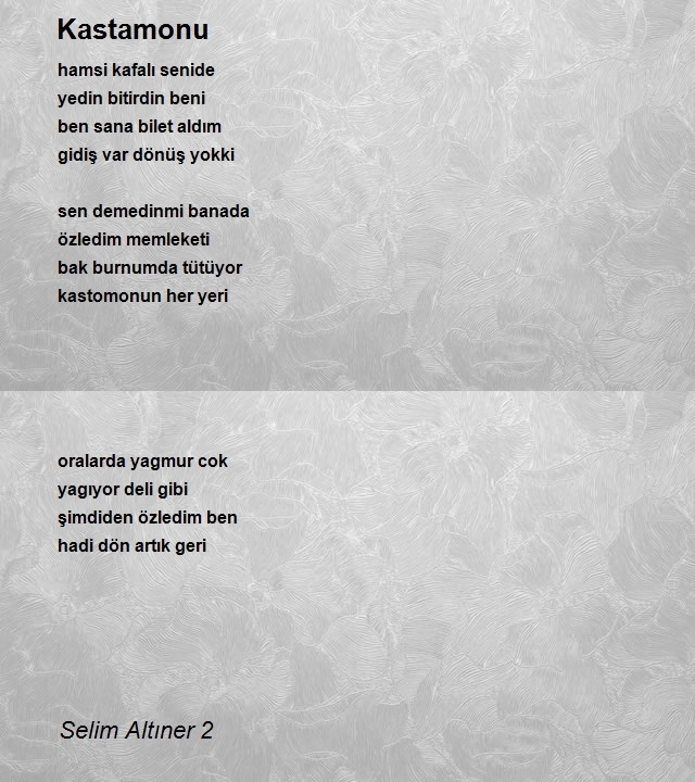 Selim Altıner 2