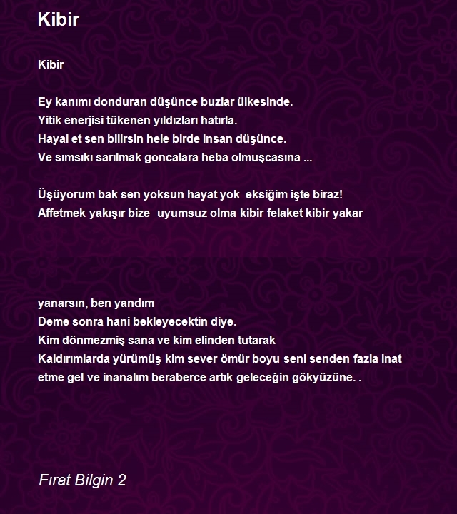 Fırat Bilgin 2