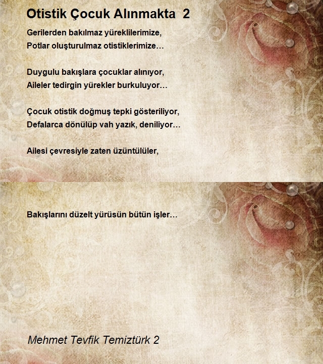 Mehmet Tevfik Temiztürk 2