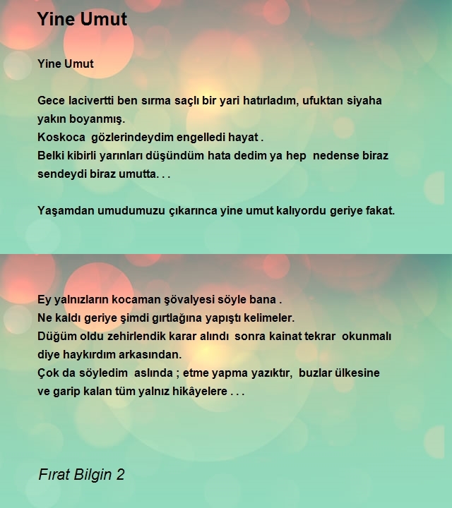 Fırat Bilgin 2