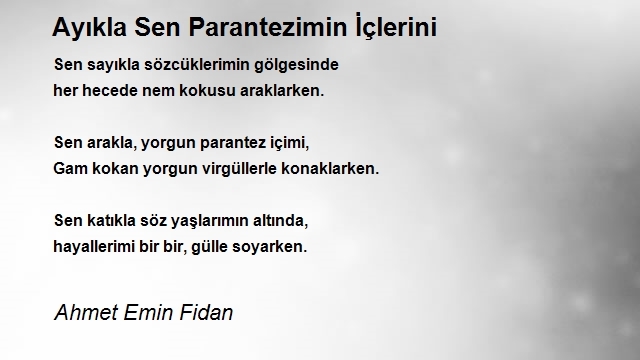 Ahmet Emin Fidan