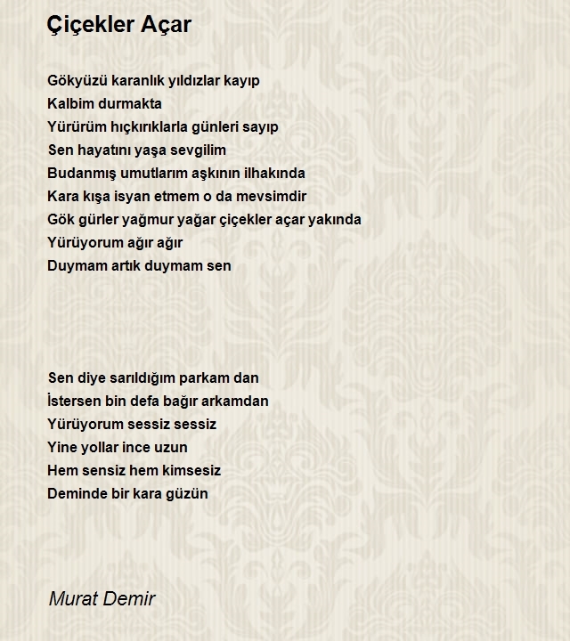 Murat Demir