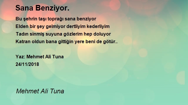 Mehmet Ali Tuna