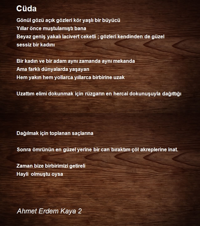 Ahmet Erdem Kaya 2