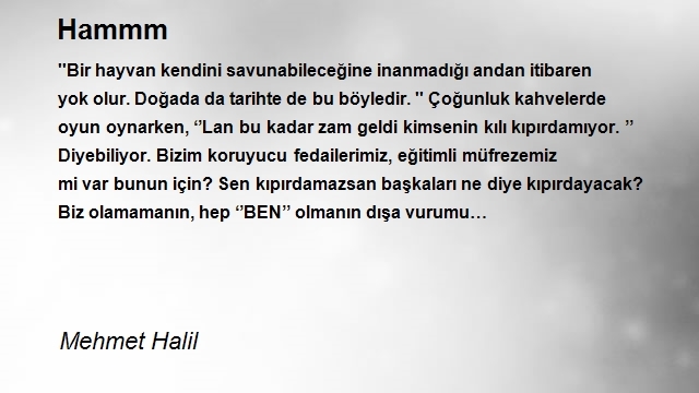 Mehmet Halil