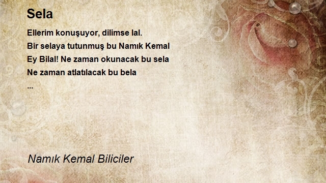 Namık Kemal Biliciler