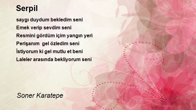 Soner Karatepe