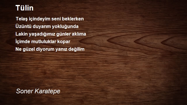 Soner Karatepe