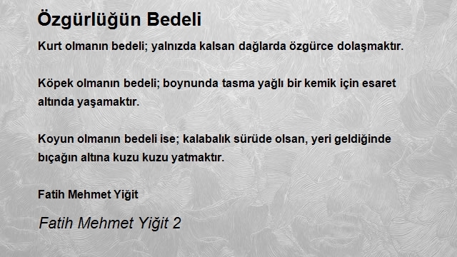 Fatih Mehmet Yiğit 2