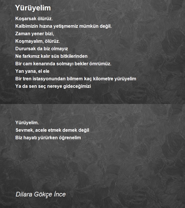 Dilara Gökçe İnce