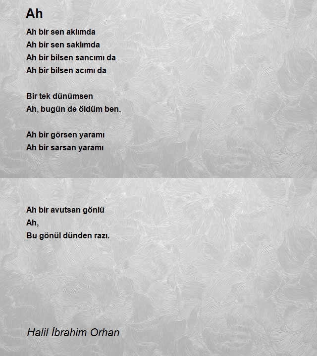 Halil İbrahim Orhan