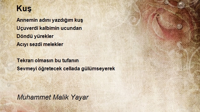 Muhammet Malik Yayar