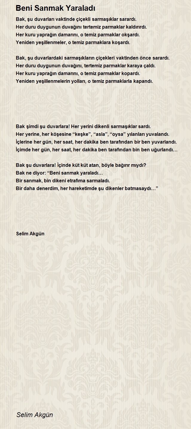 Selim Akgün