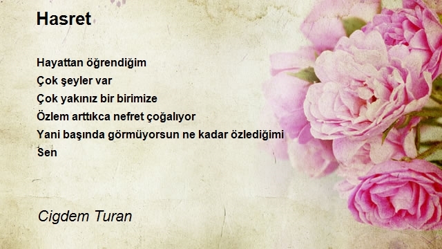 Cigdem Turan