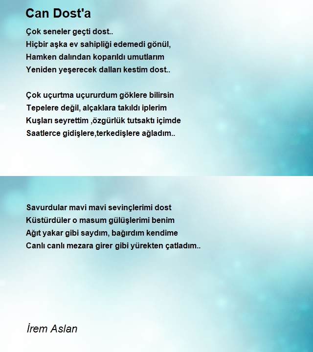 İrem Aslan