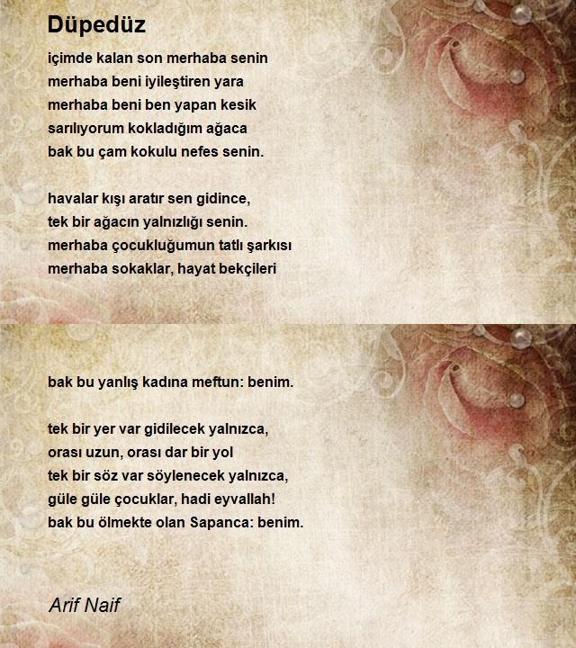 Arif Naif