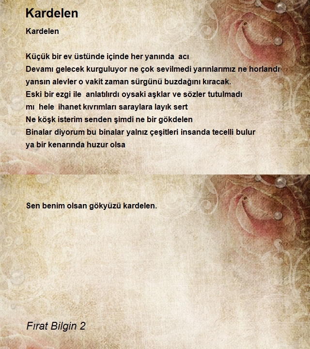 Fırat Bilgin 2