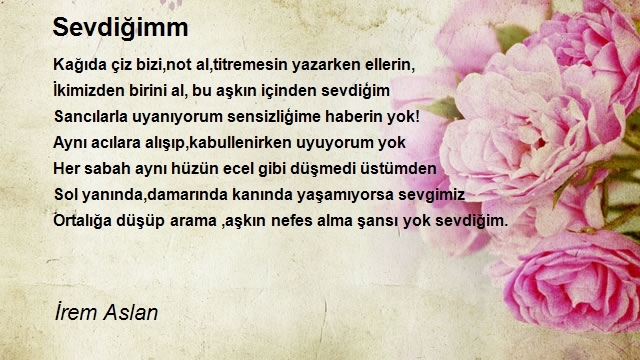 İrem Aslan