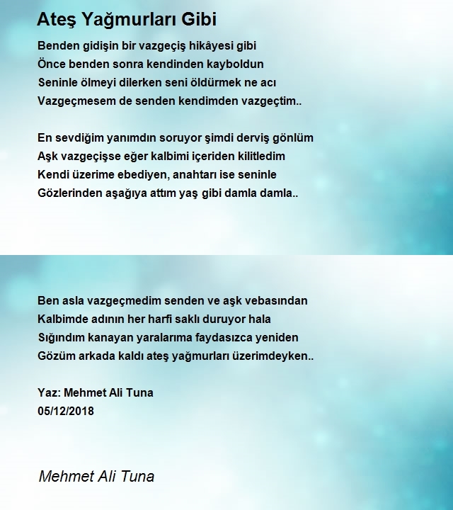 Mehmet Ali Tuna