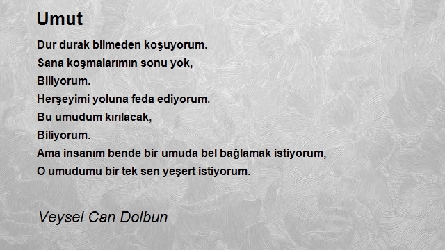 Veysel Can Dolbun