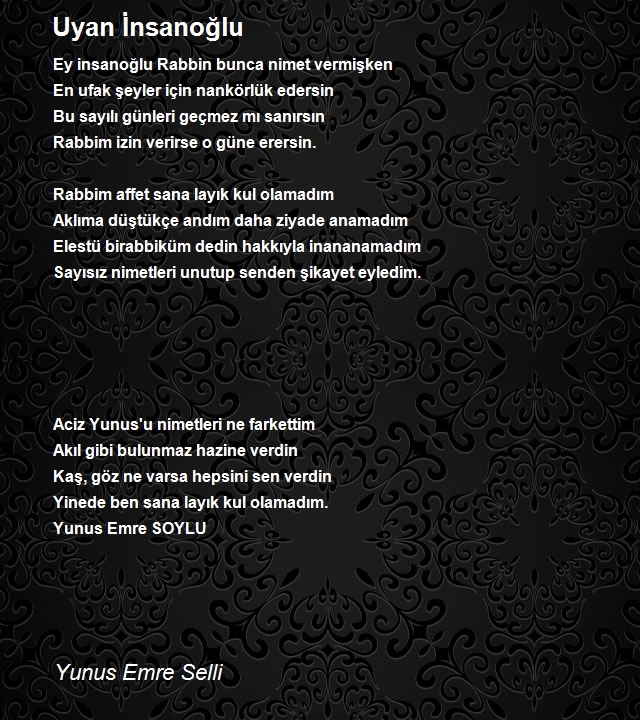 Yunus Emre Selli