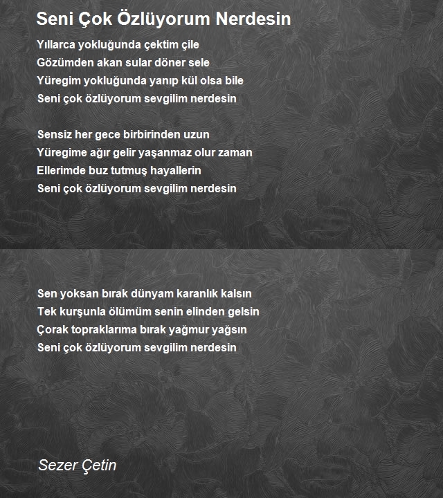 Sezer Çetin